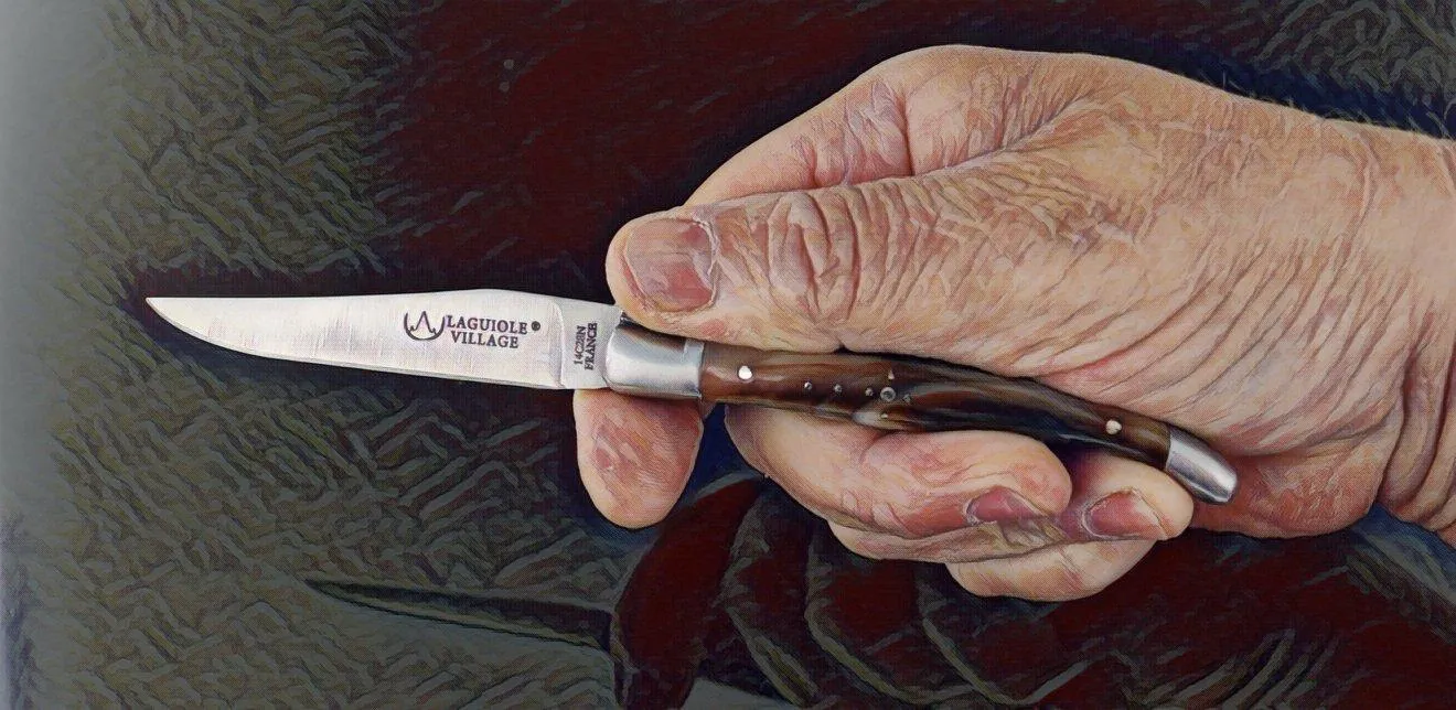 Laguiole Village 10 cm Forged Bee & Spring Juniper Handle #4