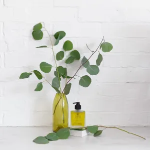 Organic Body Oil